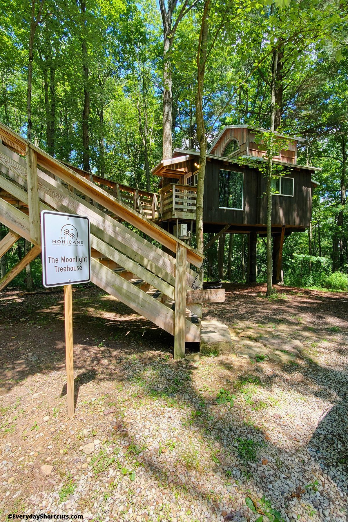 The Mohicans Moonlight Treehouse