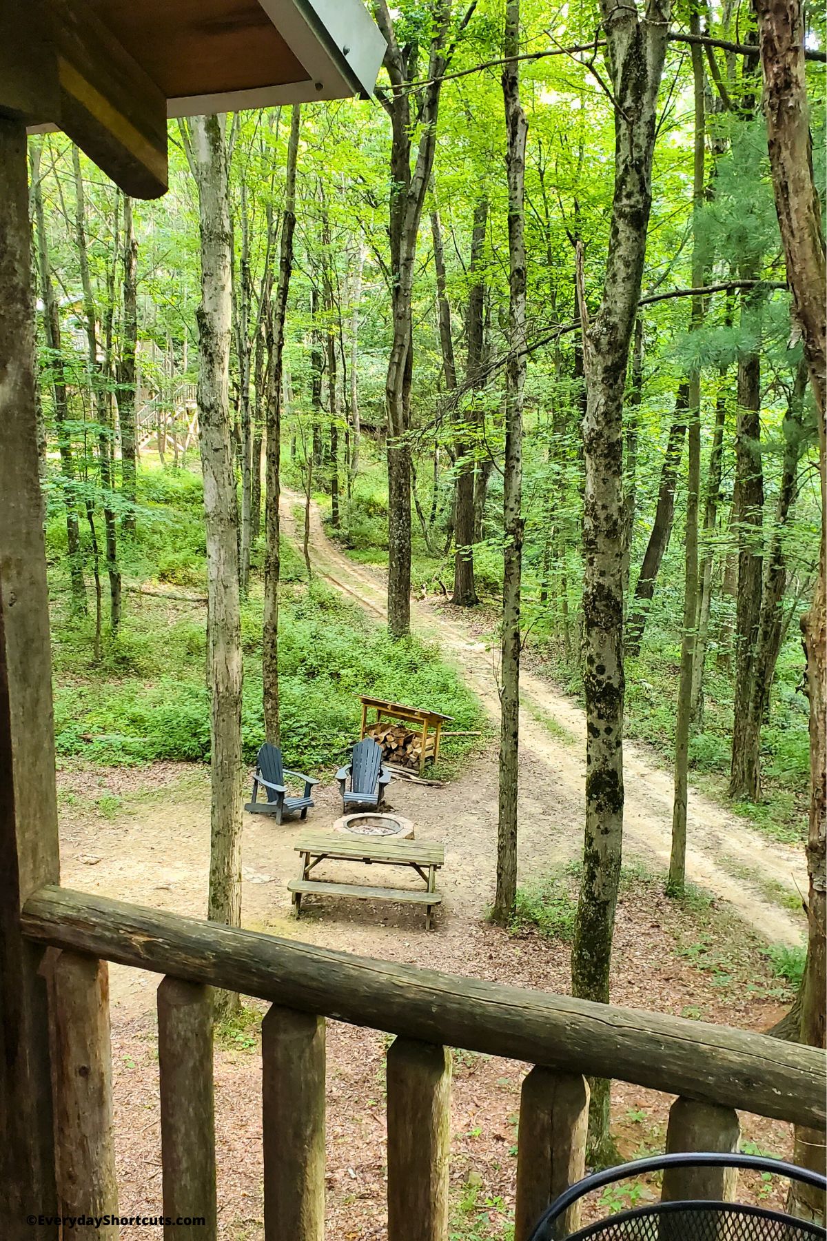 view of the forest and firepit