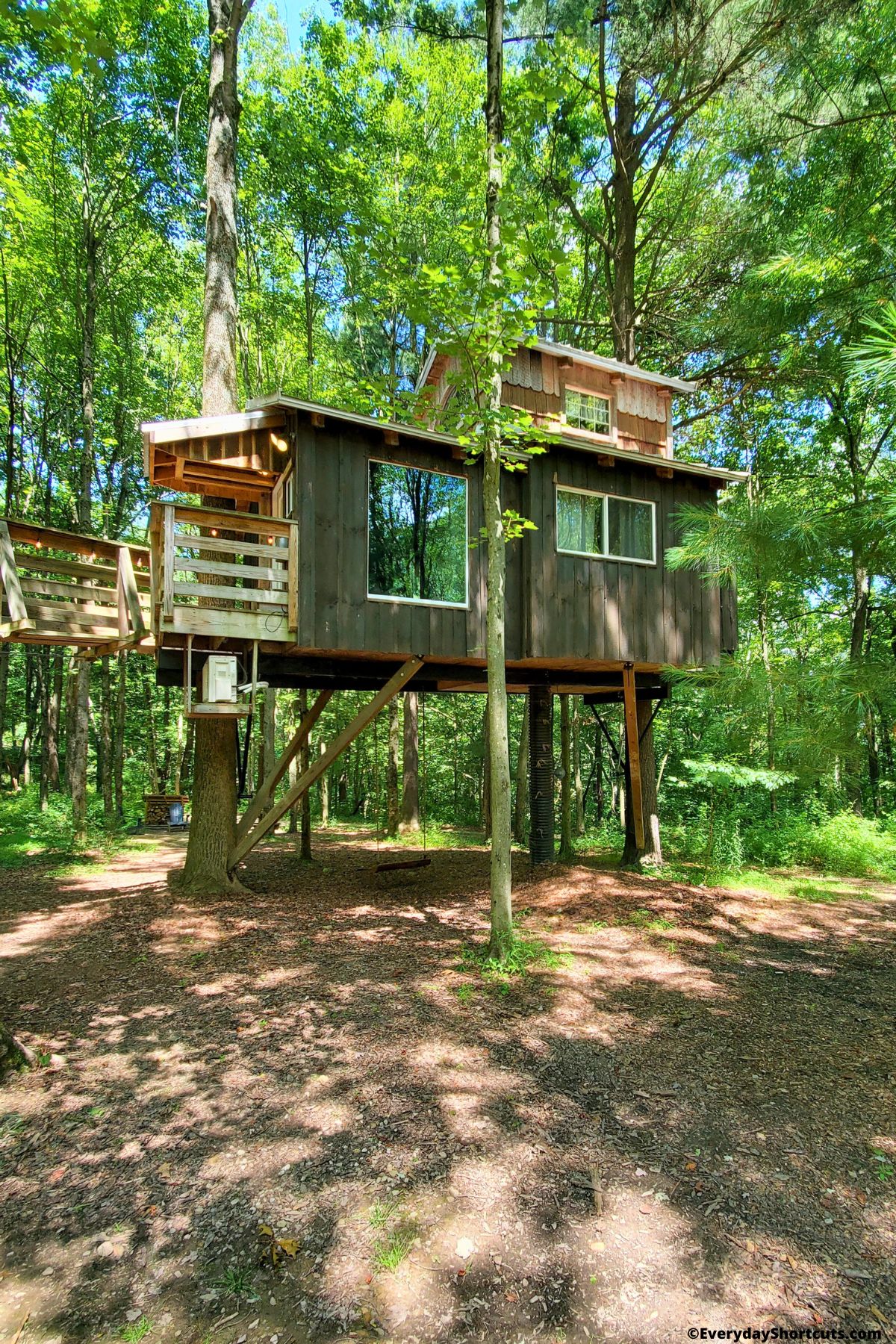 front view of treehouse at The Mohicans