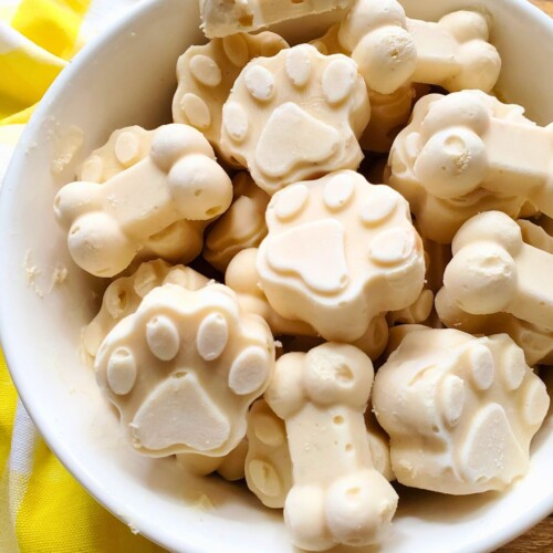 https://everydayshortcuts.com/wp-content/uploads/2023/08/dog-ice-cream-shapes-in-a-bowl-500x500.jpg