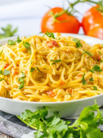 https://everydayshortcuts.com/wp-content/uploads/2023/10/chicken-with-spaghetti-noodles-360x480.jpg
