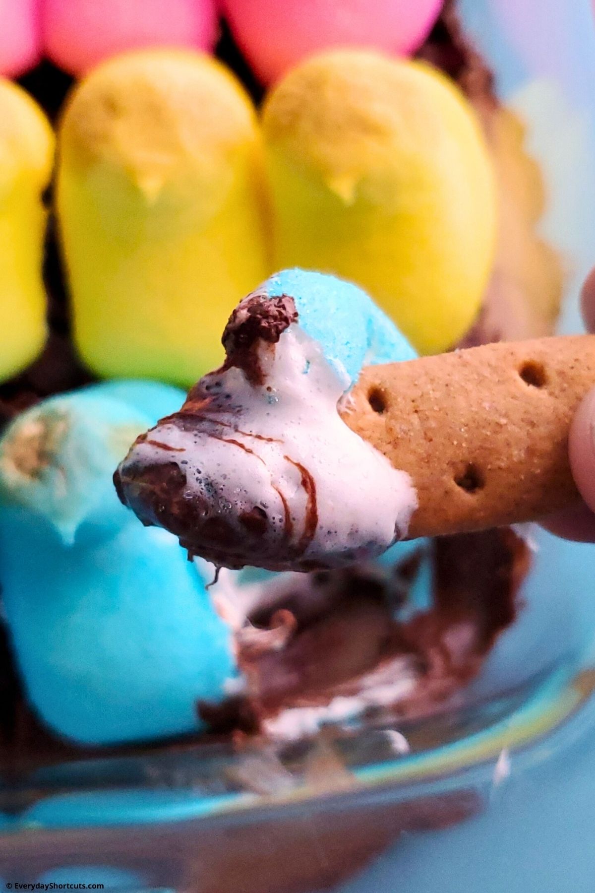 marshmallow and chocolate dip on a graham stick