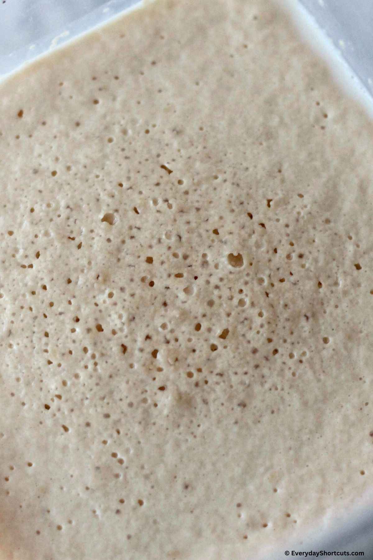 english muffins dough in bowl