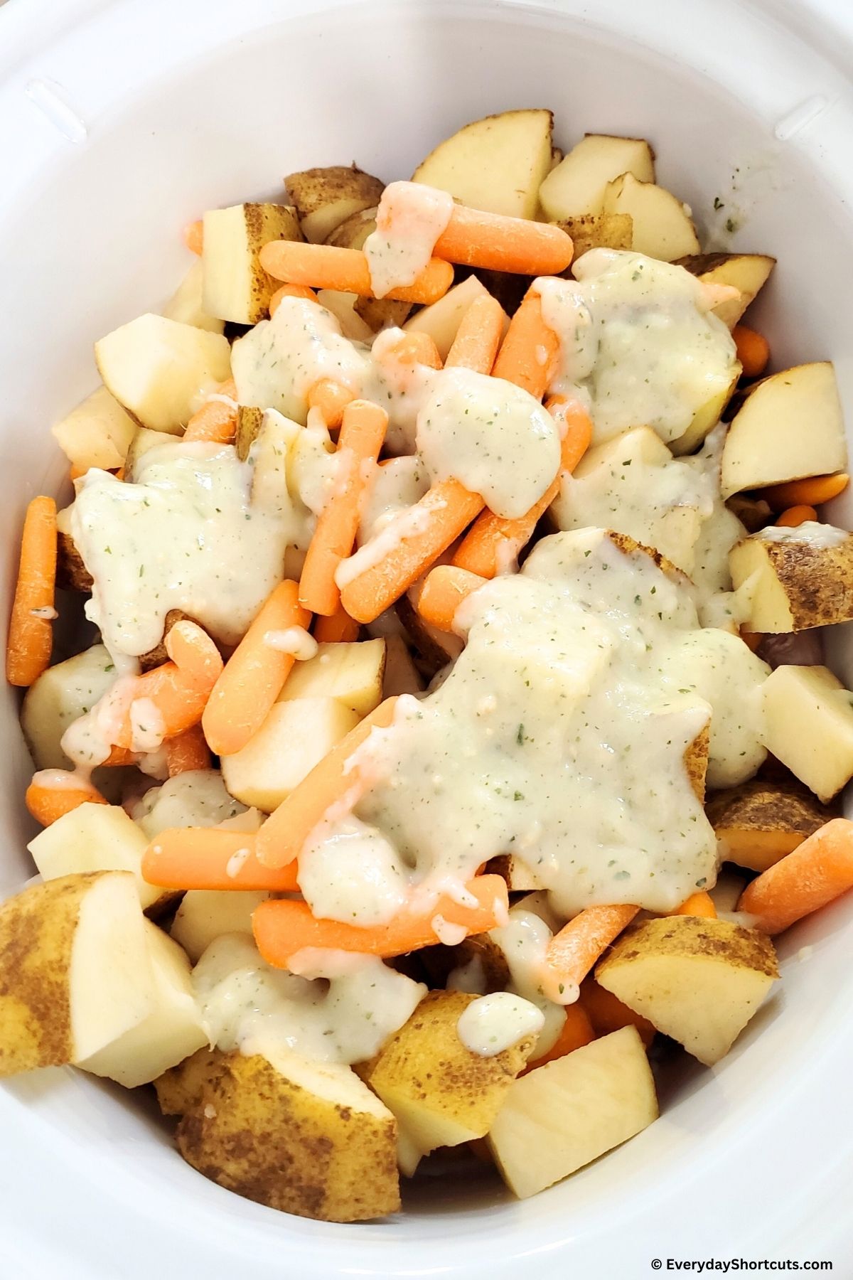 cream of chicken soup with chicken potatoes and carrots