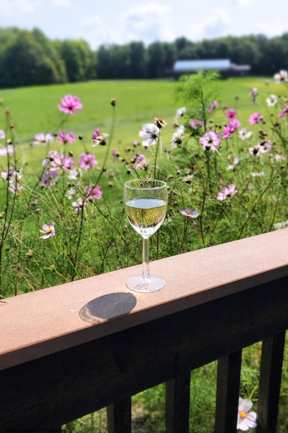 Wine at Debonne winery