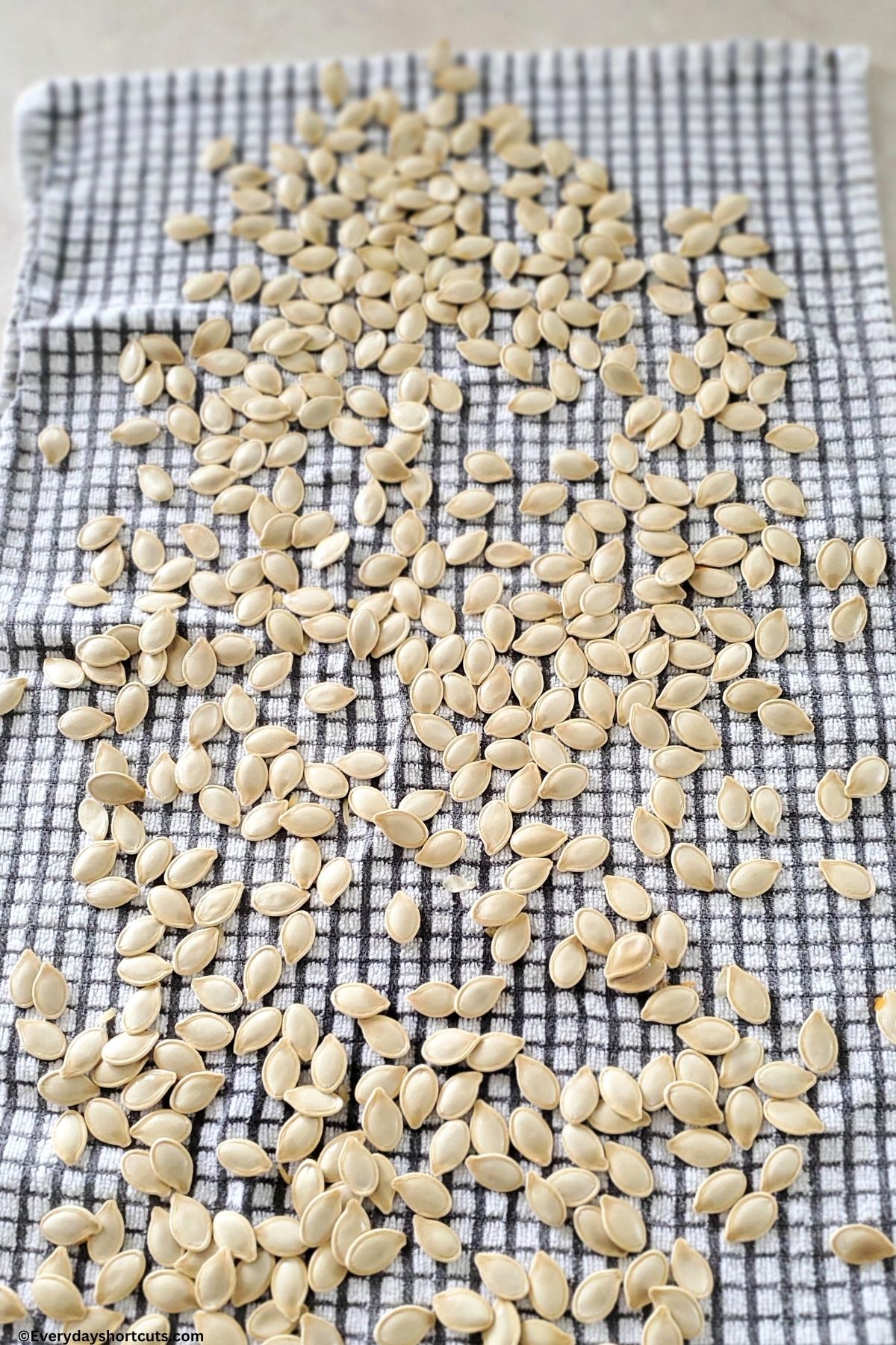 drying seeds from a pumpkin