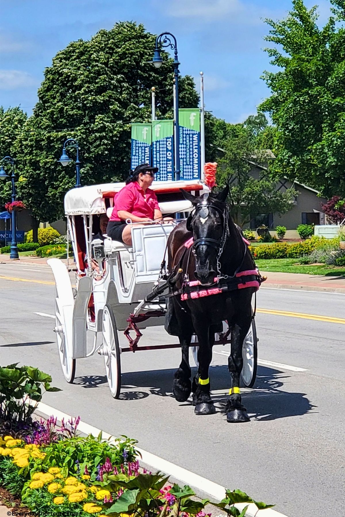 Carriage ride on the streets of Frankenmuth