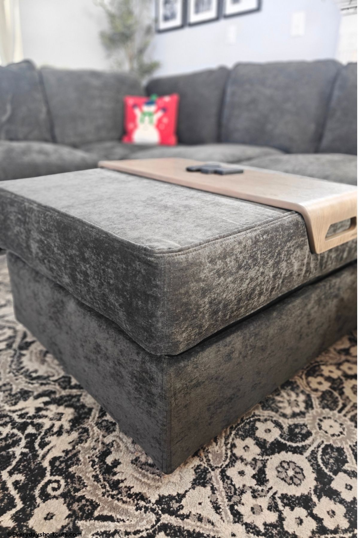 Lovesac tray
