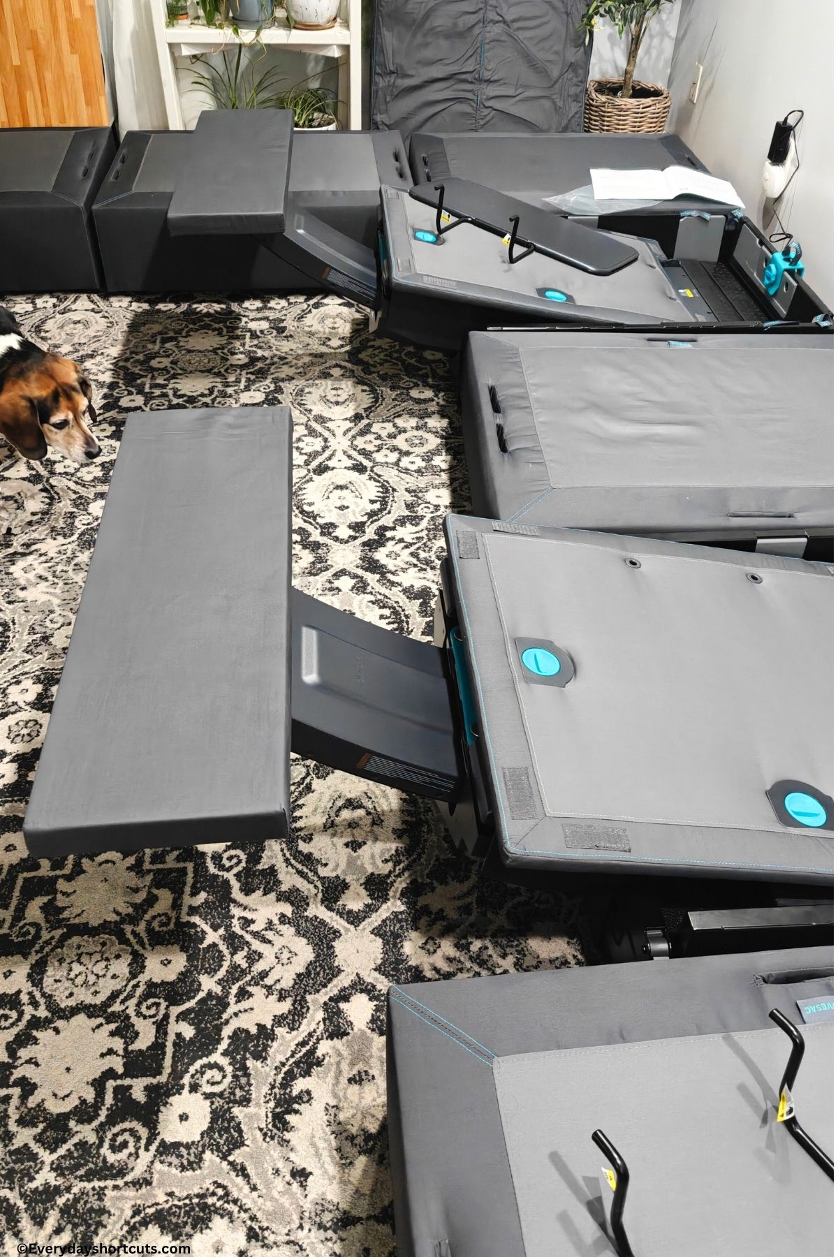 reclining seats on Lovesac