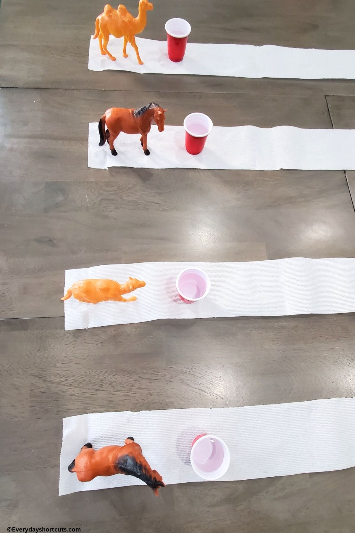 plastic farm animals on toilet paper with a shot glass of water