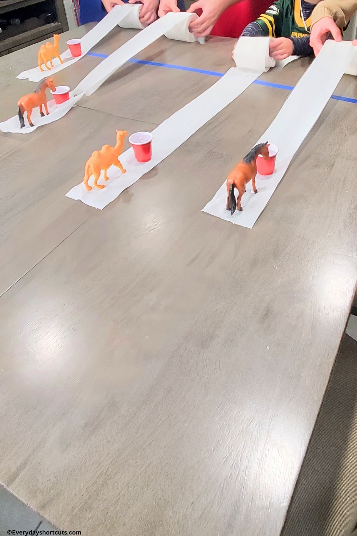 toilet paper derby race on kitchen table