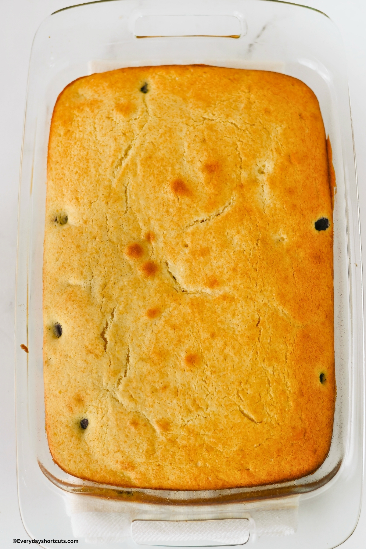 baked blueberry lemon cake in a 9x13 inch baking dish