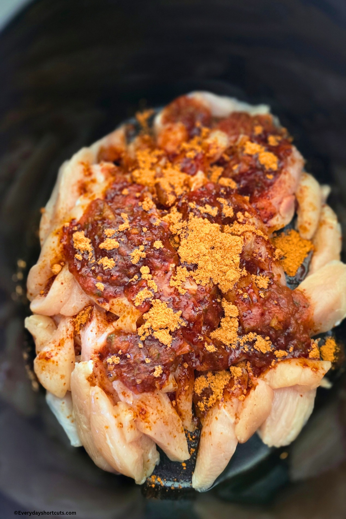 chicken cut into strips, salsa and fajita seasoning in a crockpot